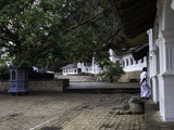 Visite du triangle culturel du Sri Lanka : Anuradhapura, Polonnaruwa et Sigiriya