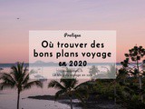 Voyager pas cher en 2020 : trouver des bons plans et promos au fil de l’année