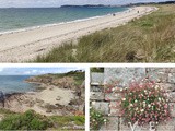 Bretagne, la Côte des Mégalithes: le Golfe du Morbihan: la Presqu'île de Rhuys