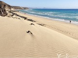 Fuerteventura en 2 semaines