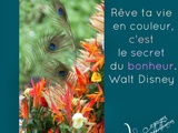 L'Image Colorée et les Mots de Walt Disney