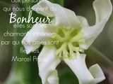 L'Image Florale et les Mots de Marcel Proust