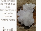 L'Image Saline et les Mots d'André Gide