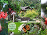 Madagascar: Les Jardins de Clarita à Nosy Komba, le bonheur