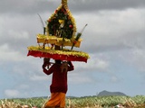 Maurice: La procession du Thaipoosam Cavade, splendide