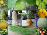 Maurice: Saveurs des Mascareignes, les Fruits & Légumes