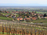 Mittelbergheim, l'Alsace viticole à découvrir