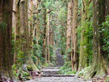 Kumano Kodo : un pèlerinage datant de l’époque féodale