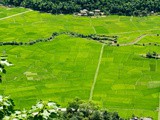 Mai Chau: rizières, minorités et tranquillité