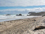 Mes iles australiennes en photos: la Tasmanie et Kangaroo Island
