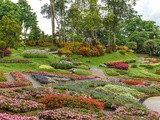 Que faire dans la région de Chiang Rai