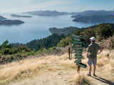 Queen Charlotte Track, une des randonnées néo-zélandaise mythique