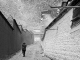 Un pied au Tibet: le monastère de Labrang