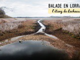 Balade autour de l’étang de Lachaussée en Lorraine