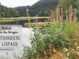 Dans les Vosges: 5 choses à voir autour de La Bresse