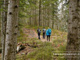 La Chatte Pendue, rando dans les Vosges