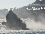 Le Petit Suisse n’est pas toujours celui qu’on croit