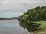 Observation d’oiseaux au lac de Michelbach