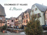 Un livre sur les mots du Sud