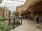Un tour au Zoo de Zurich: des caméléons de la serre tropicale aux girafes de la savanne