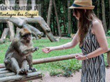 Week-end autour de la montagne des singes en Alsace